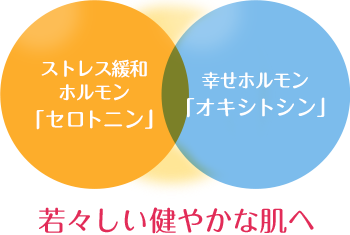 若々しい健やかな肌へ