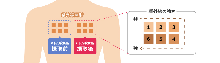 実施方法イメージ